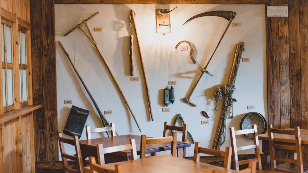 בארדונקיה Chalet Della Guida מראה חיצוני תמונה